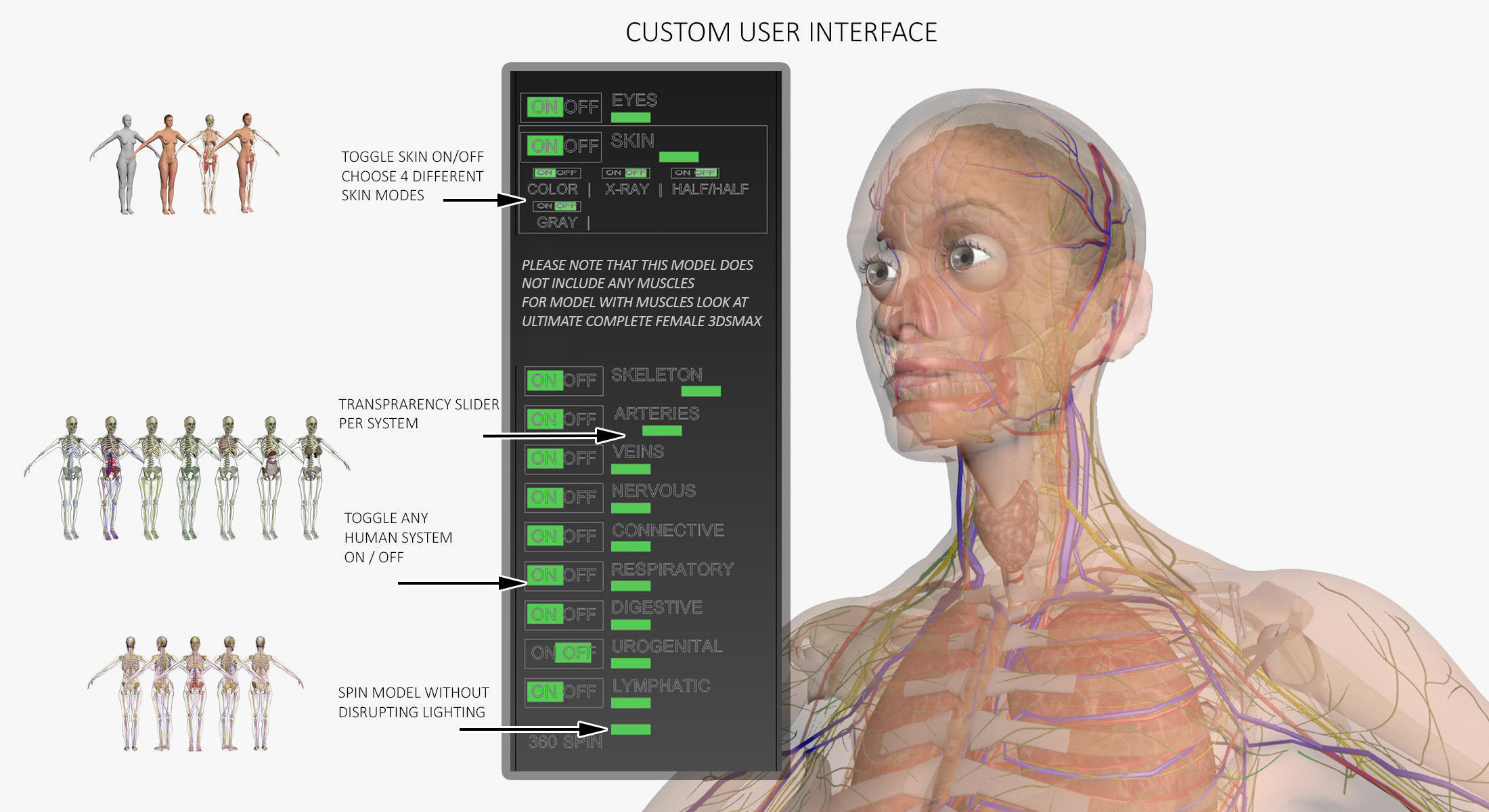 Full Female Body Anatomy 3DSmax 3D model_3