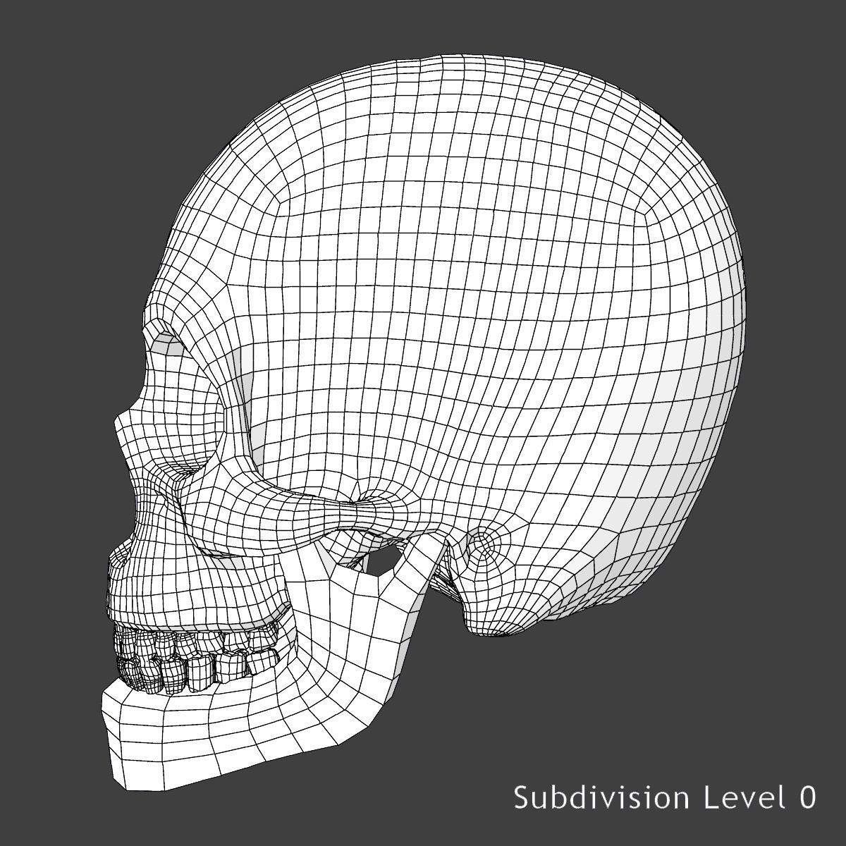Full Female Body Anatomy 3DSmax 3D model_28