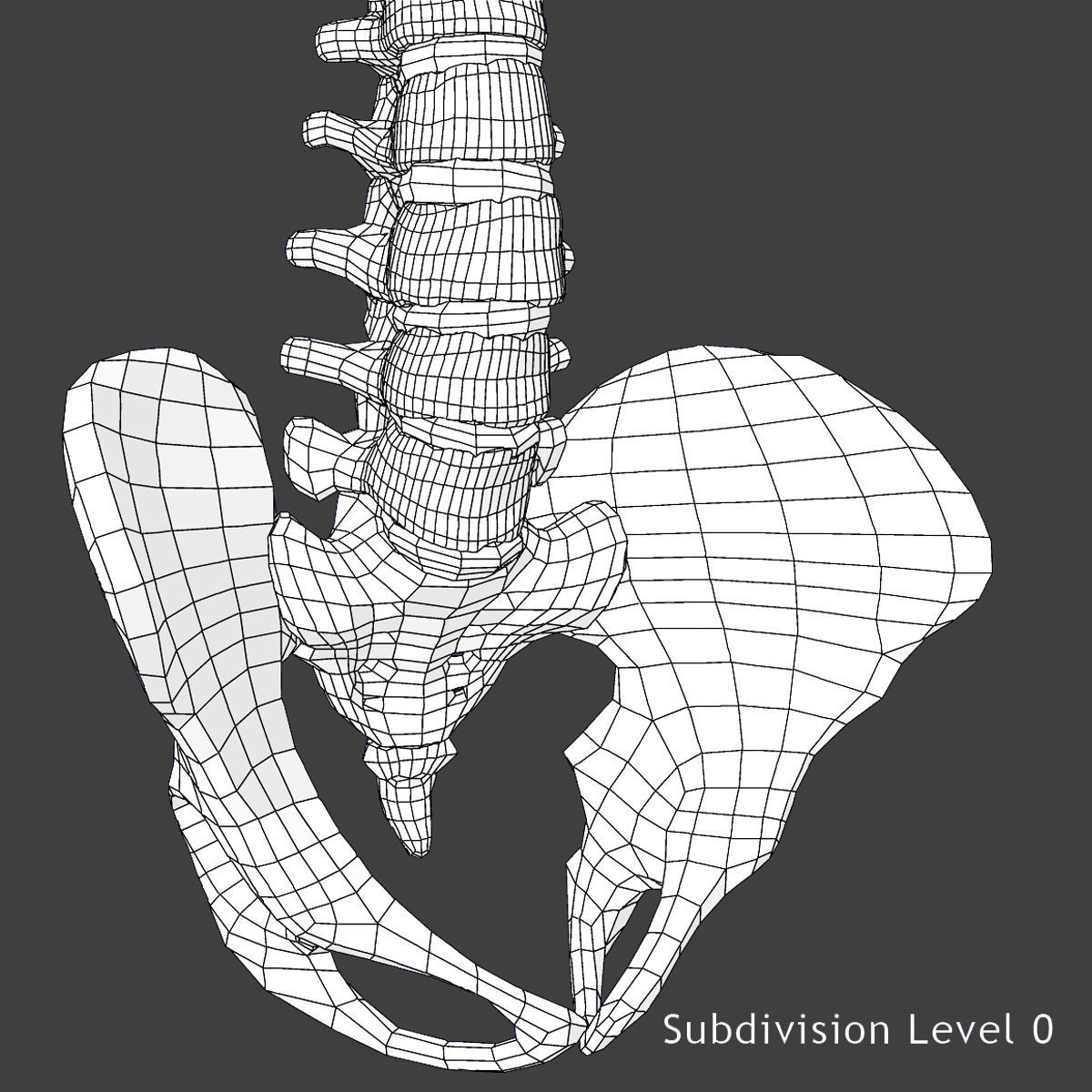 Full Female Body Anatomy 3DSmax 3D model_27
