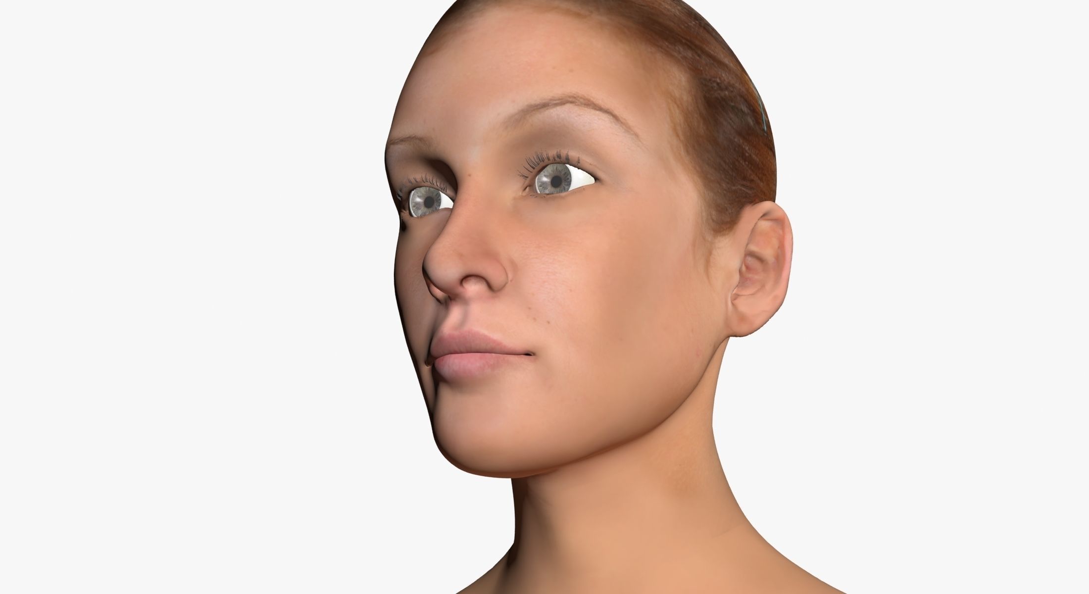 Full Female Body Anatomy 3DSmax 3D model_19