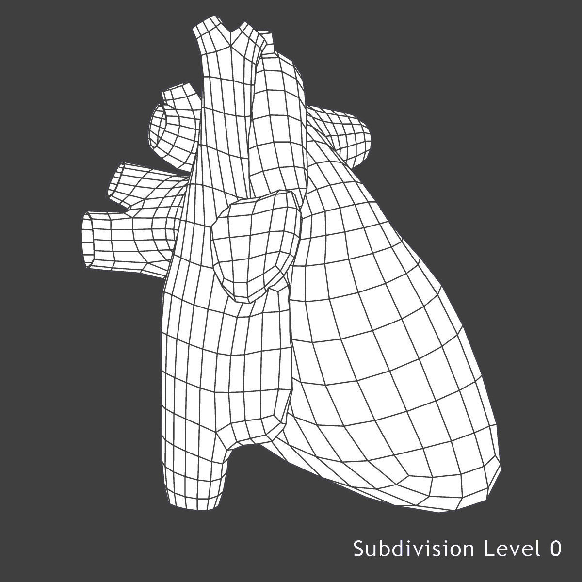 Female Circulatory System Anatomy 3D model_14