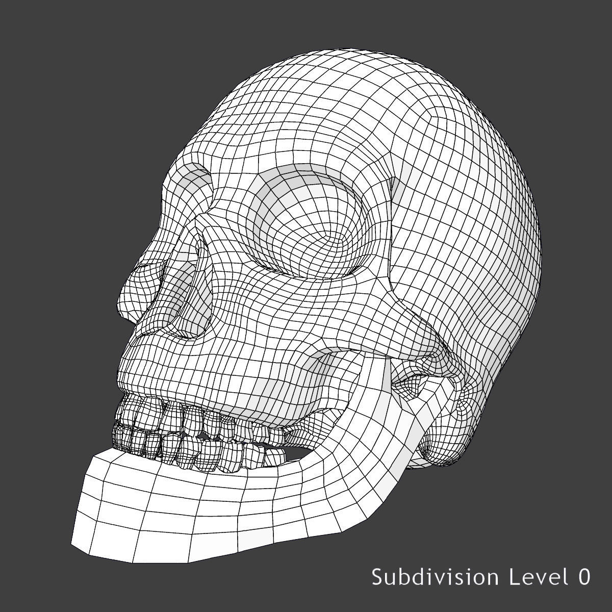 Female Circulatory System Anatomy 3D model_19