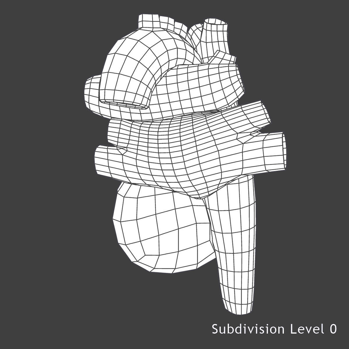 Female Circulatory System Anatomy 3D model_15