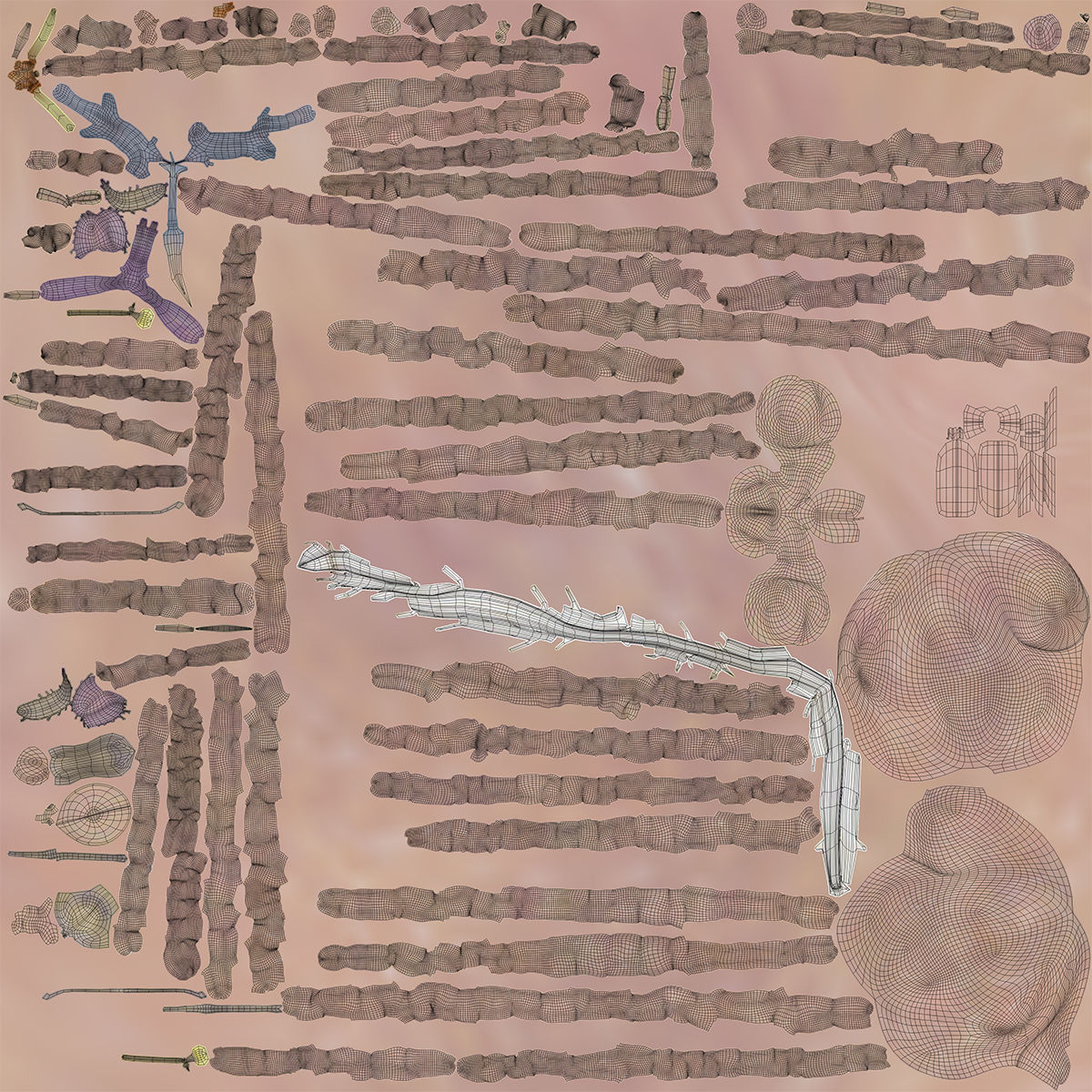  Male Central Nervous System With Skeleton 3DSmax 3D model_25