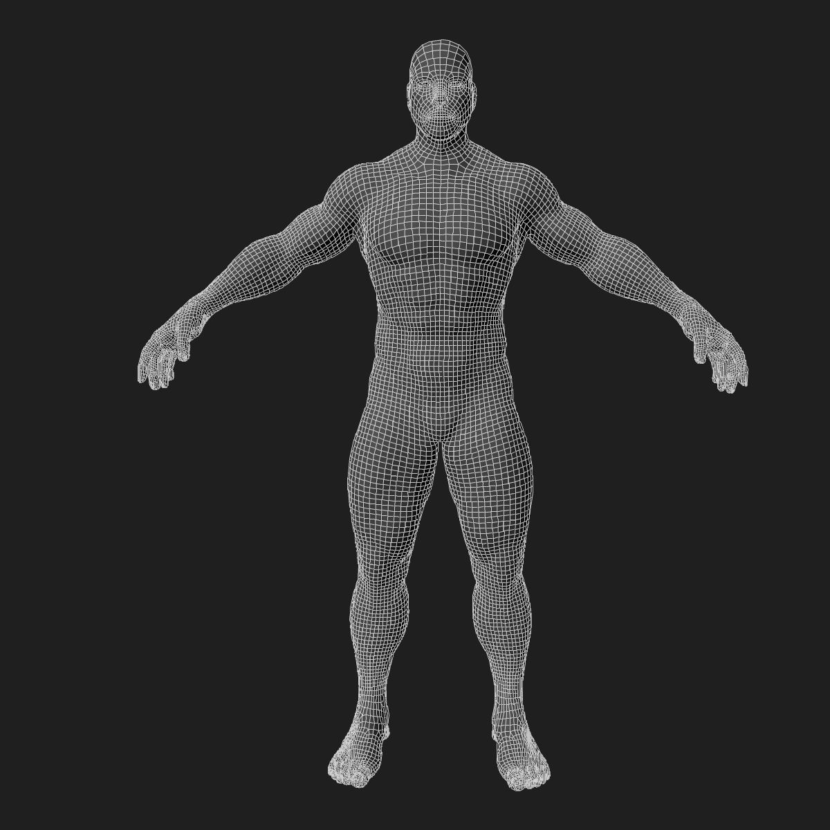 Human Central Nervous System with Skeleton 3D model_9