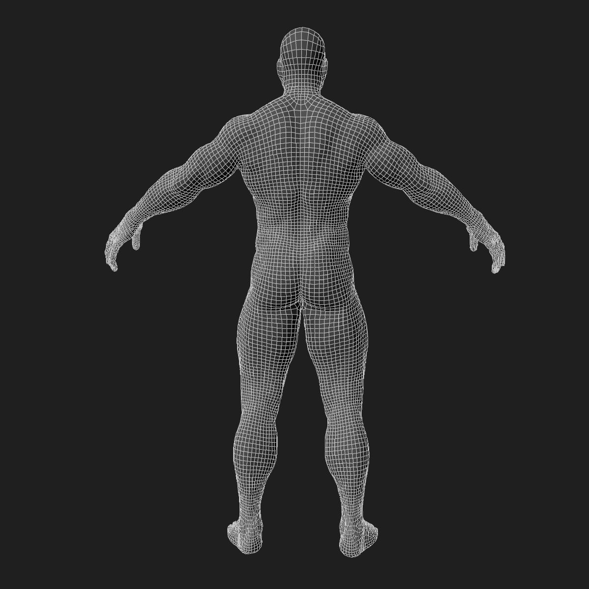 Human Central Nervous System with Skeleton 3D model_10