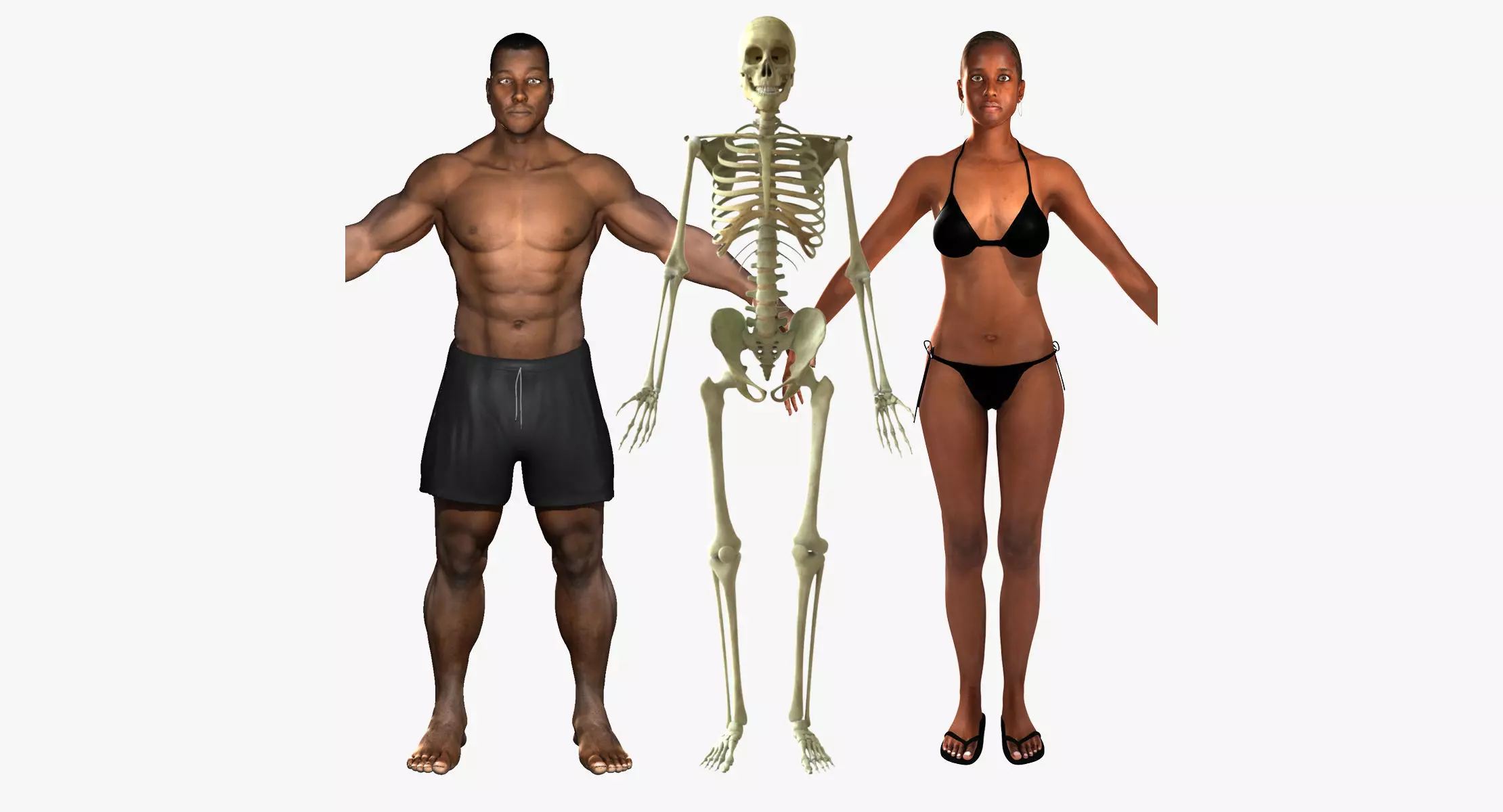 African American Female And Male With Skeleton Rigged 3D model_0