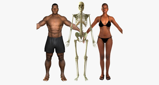 African American Female And Male With Skeleton Rigged 3D model