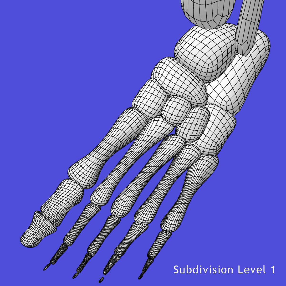 African American Female And Male With Skeleton Rigged 3D model_45