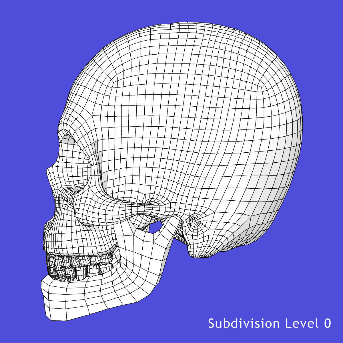 African American Female And Male With Skeleton Rigged 3D model_53