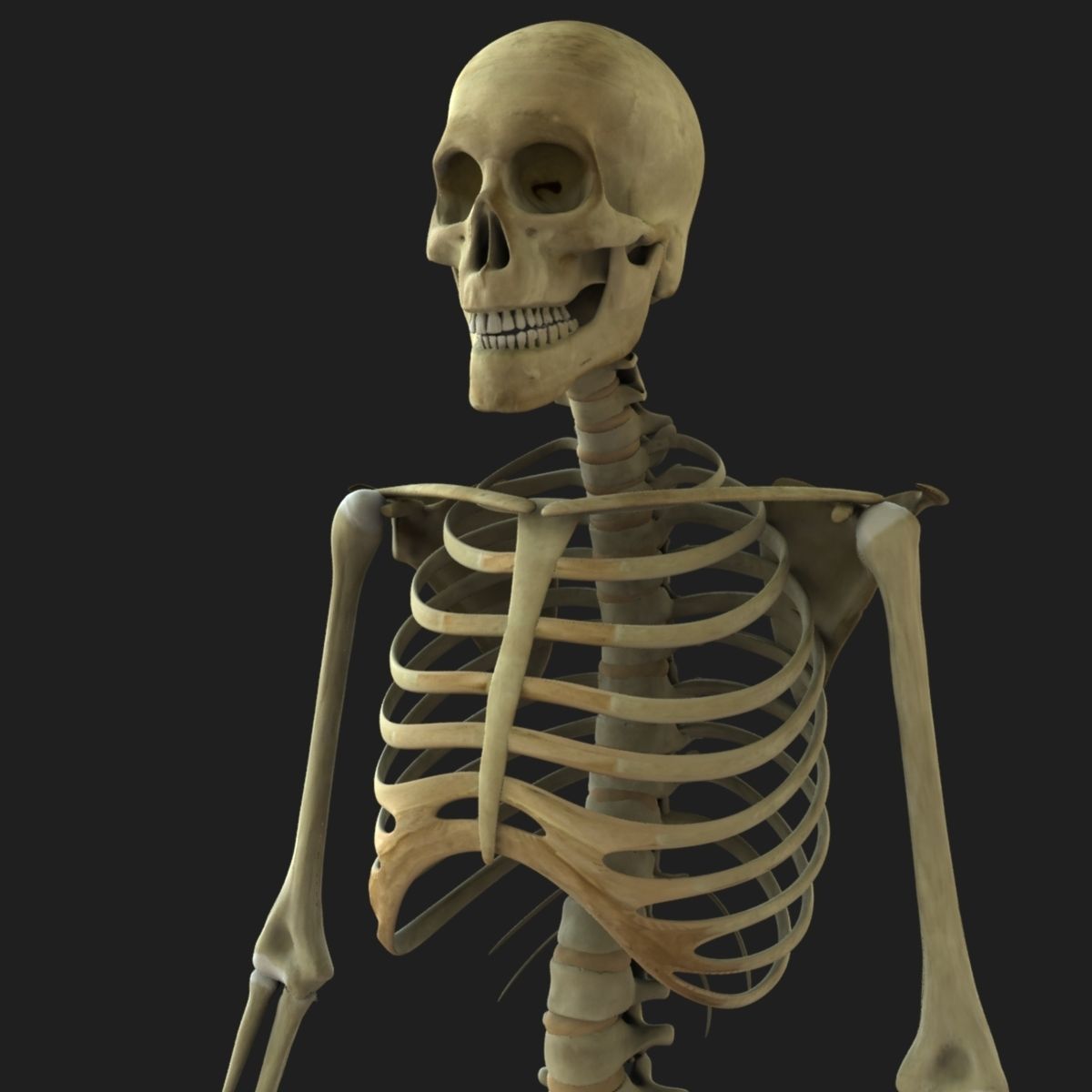 African American Female And Male With Skeleton Rigged 3D model_22