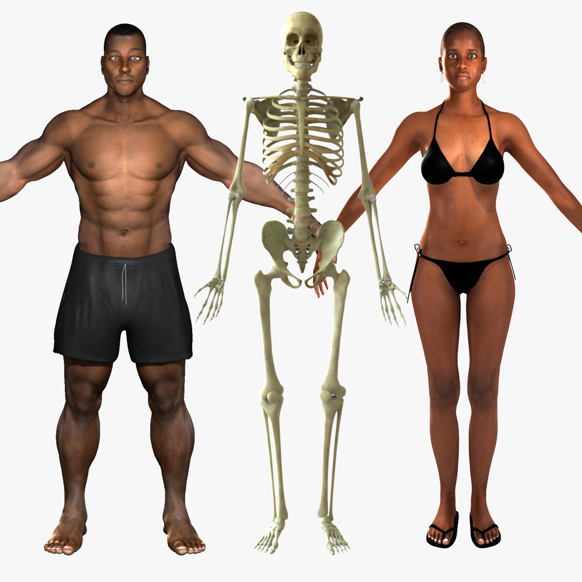 African American Female And Male With Skeleton Rigged 3D model_1