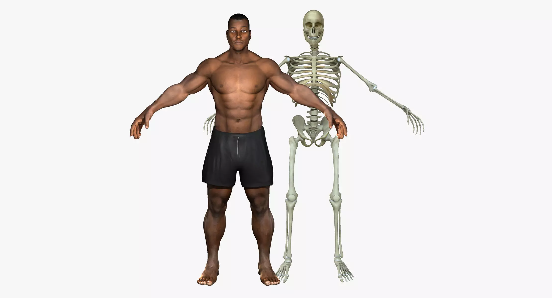 Muscular African American Male With Full Body Skeleton 3D model_0