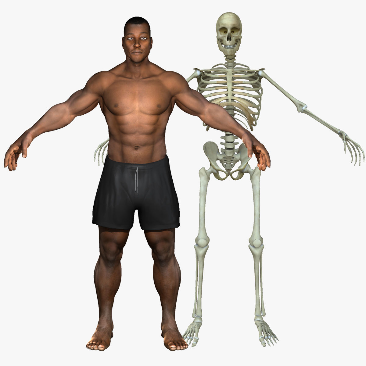 Muscular African American Male With Full Body Skeleton 3D model_1