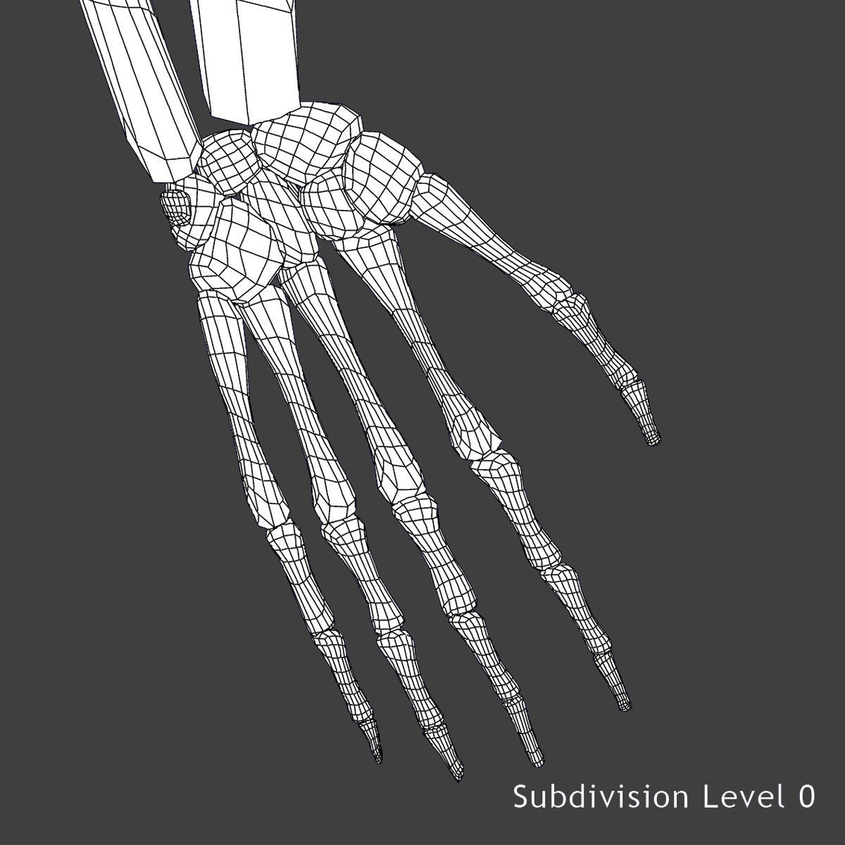 Full Female Body Anatomy Collection 3D model_31