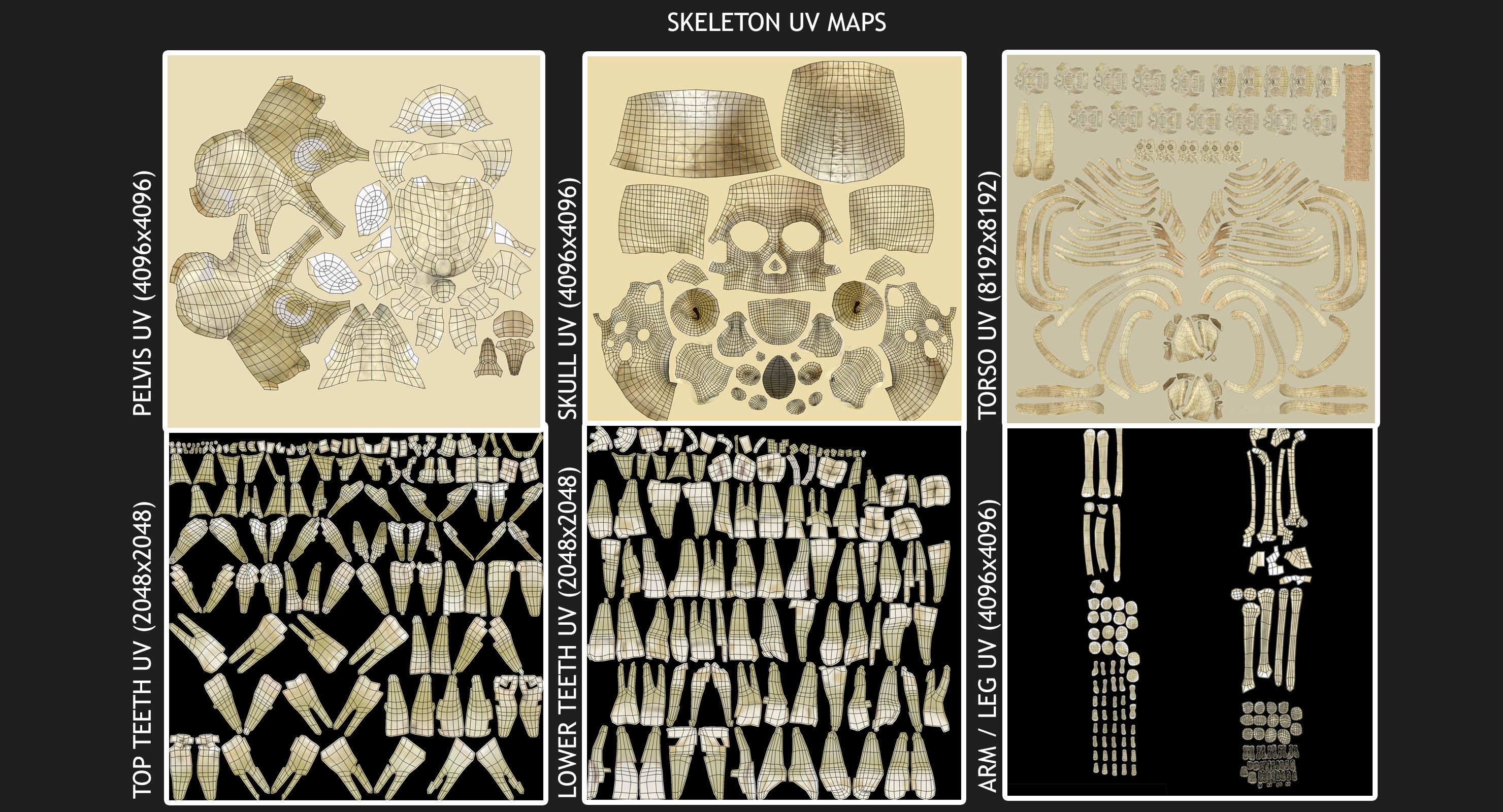 Full Female Body Anatomy Collection 3D model_48