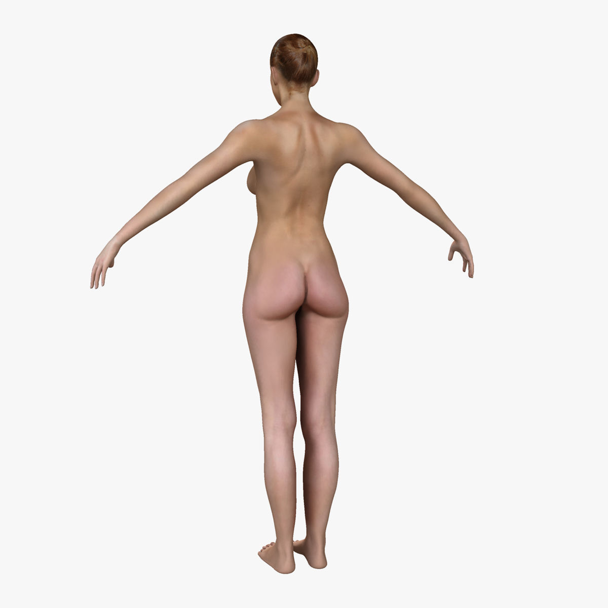 Full Female Body Anatomy Collection 3D model_19