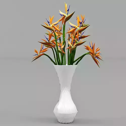 Strelitzia birds of paradise in vase 3D model