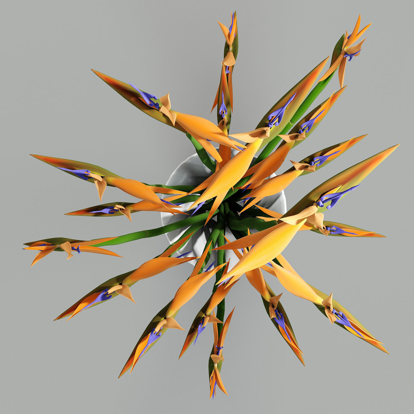 Strelitzia birds of paradise in vase 3D model_2