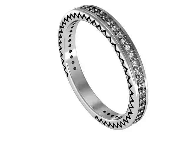 Ring Classic collection 