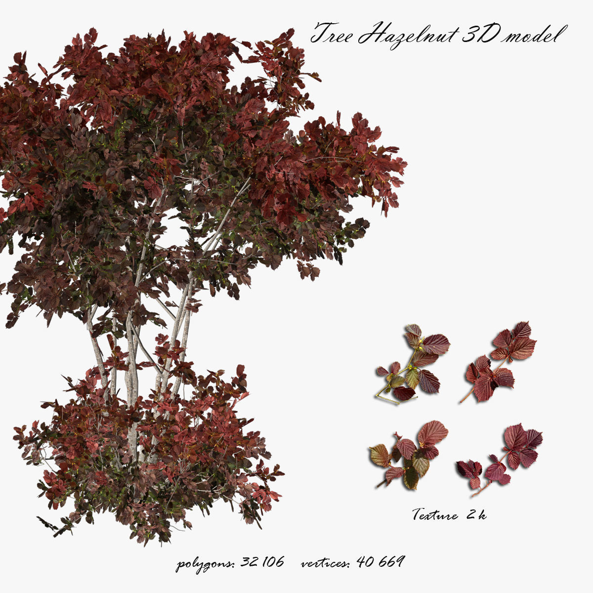 Hazelnut tree red 3D model_0