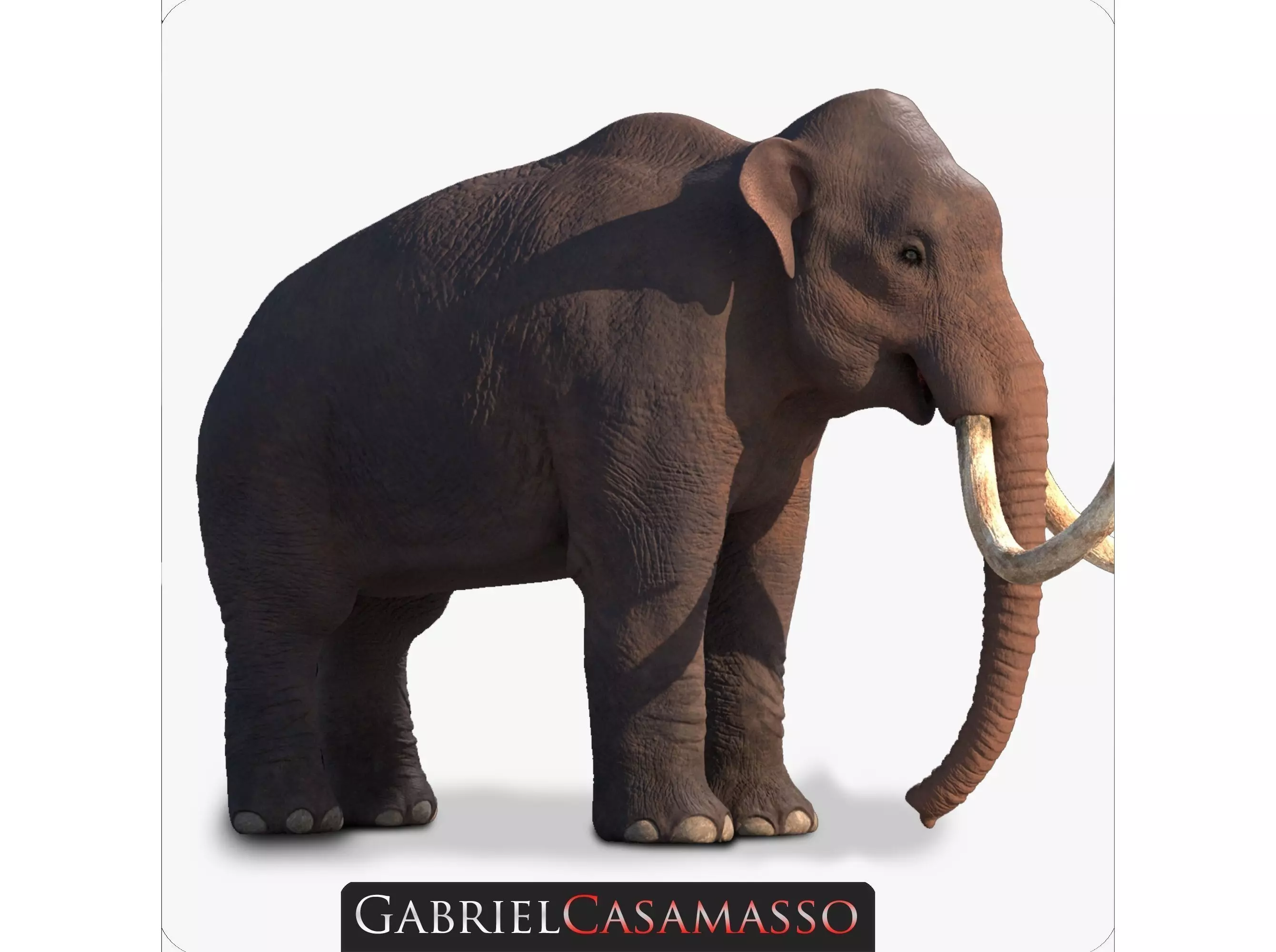 Columbian Mammoth - Mammuthus Columbi 3D model_0