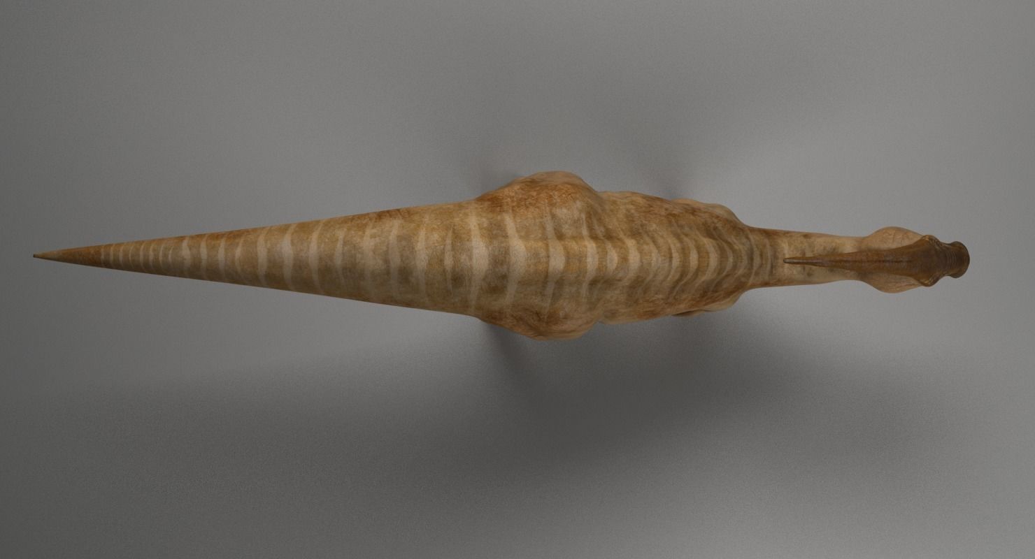 Parasaurolophus - Rigged 3D model_6