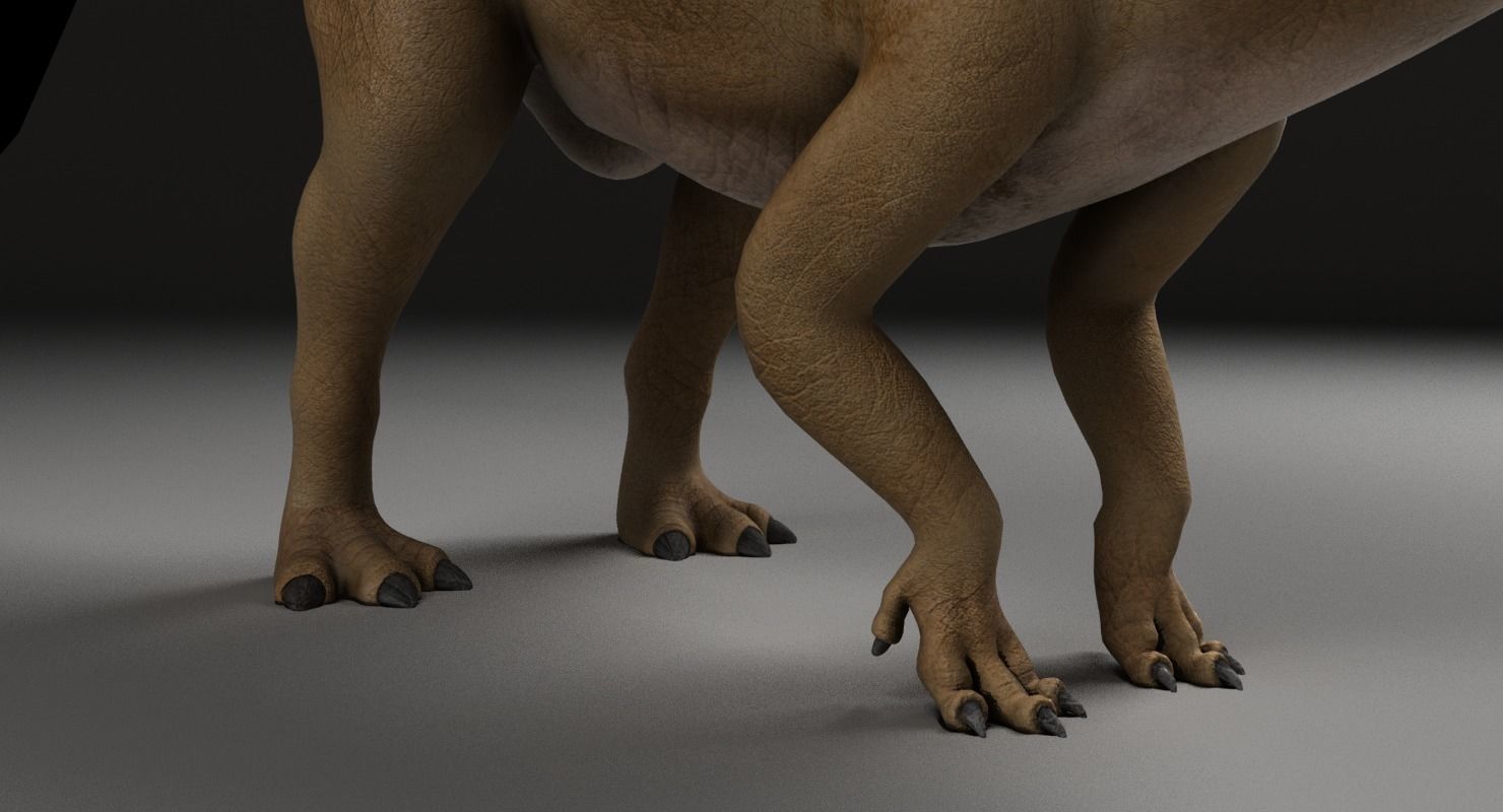 Parasaurolophus - Rigged 3D model_3