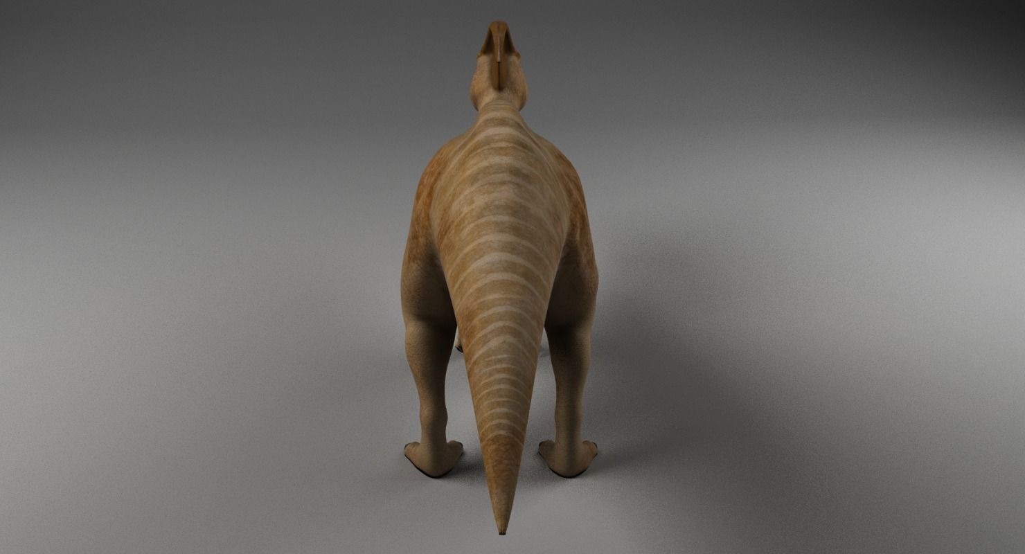 Parasaurolophus - Rigged 3D model_7