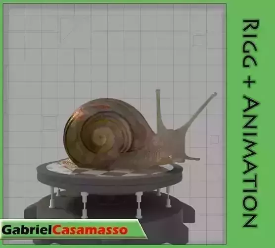 Snail 3D model
