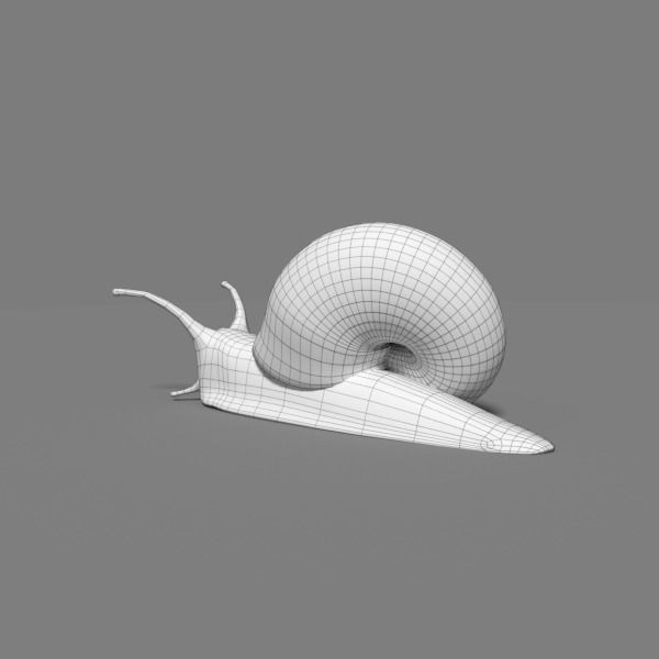 Snail 3D model_3