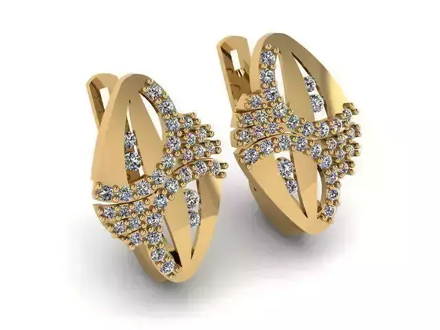 Earrings T01184