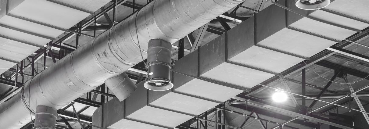 Airway Ventilation 3D model_4