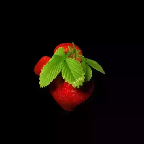 strawberry 3 two strawberries