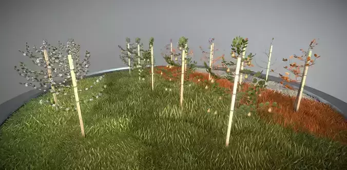 Small Pear Trees - Four Seasons Low-poly 3D model Small Pear Trees - Four Seasons Low-poly 3D model