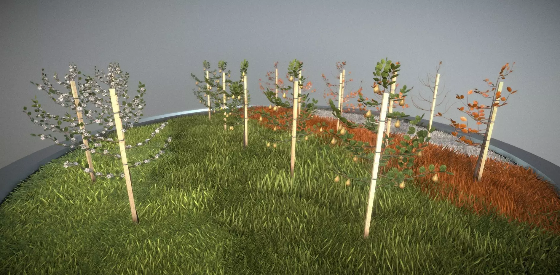 Small Pear Trees - Four Seasons Low-poly 3D model_0