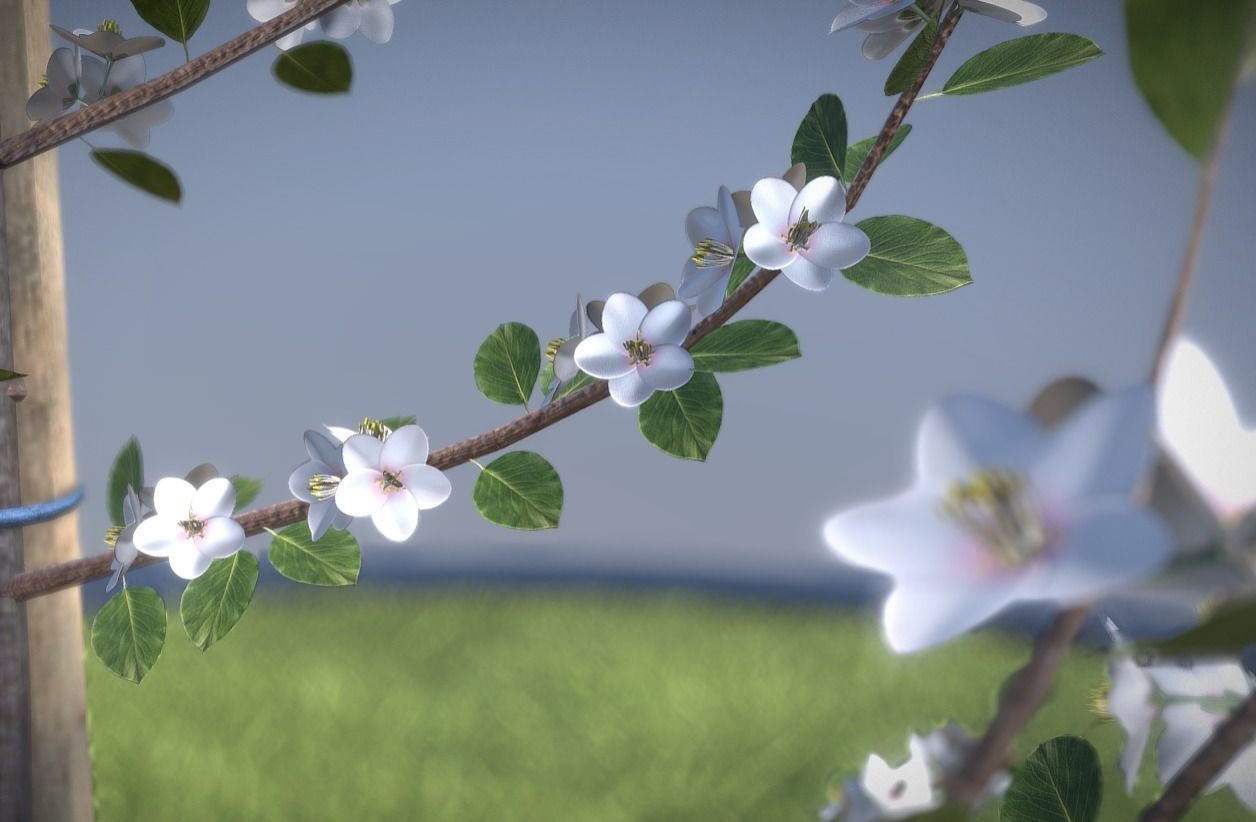 Small Pear Trees - Four Seasons Low-poly 3D model_12