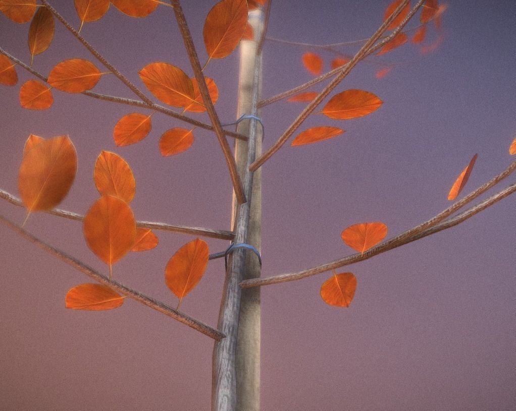 Small Pear Trees - Four Seasons Low-poly 3D model_23