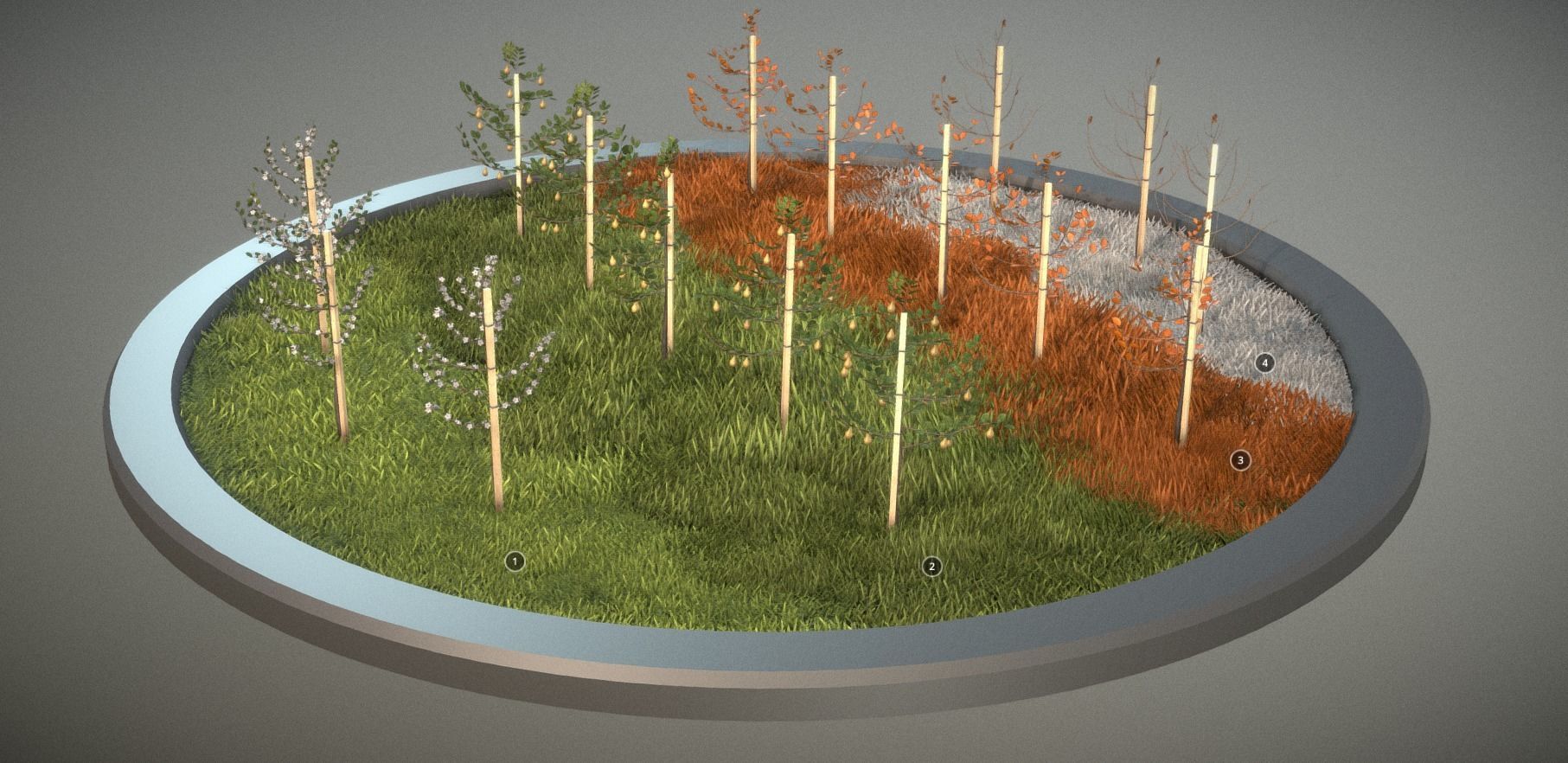 Small Pear Trees - Four Seasons Low-poly 3D model_5