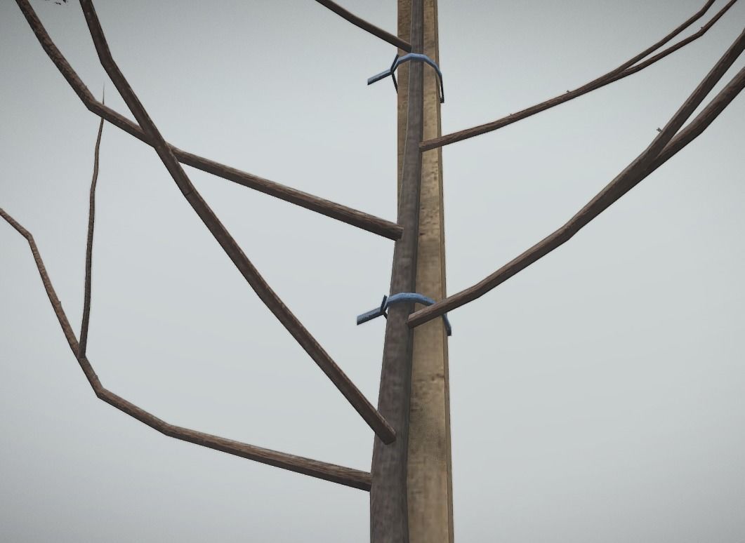 Small Pear Trees - Four Seasons Low-poly 3D model_24