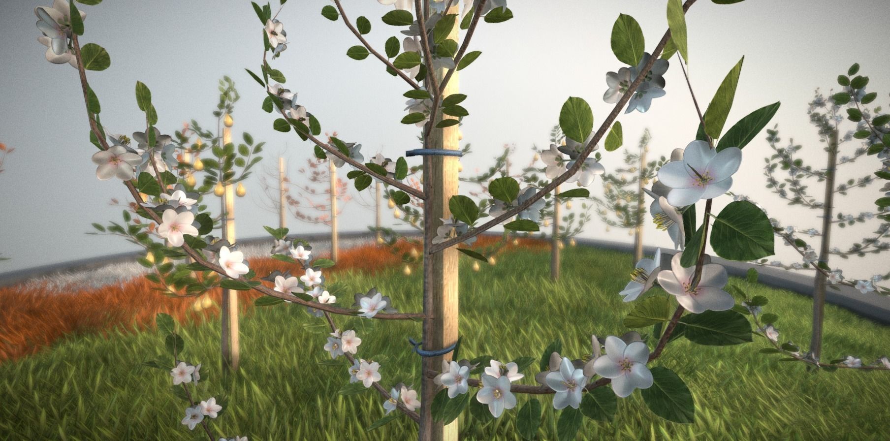 Small Pear Trees - Four Seasons Low-poly 3D model_4