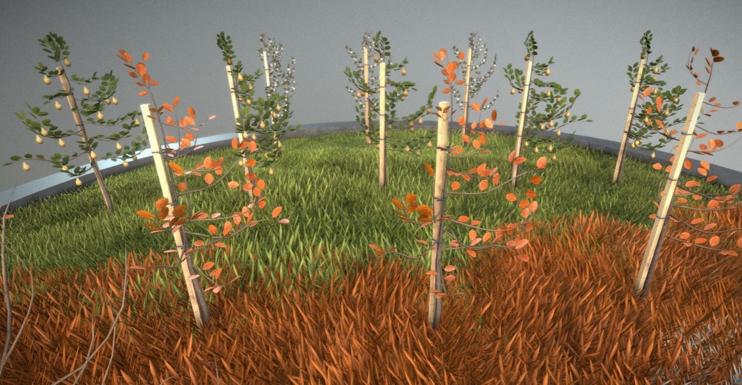 Small Pear Trees - Four Seasons Low-poly 3D model_11