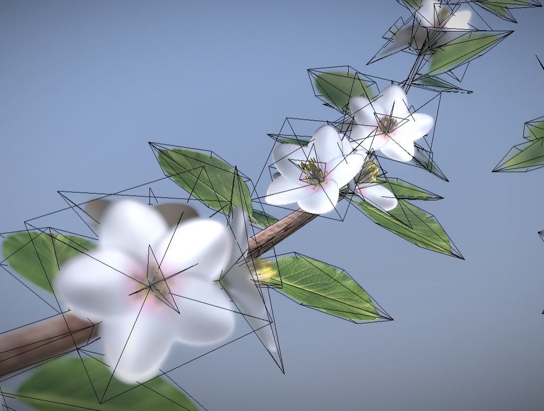 Small Pear Trees - Four Seasons Low-poly 3D model_3