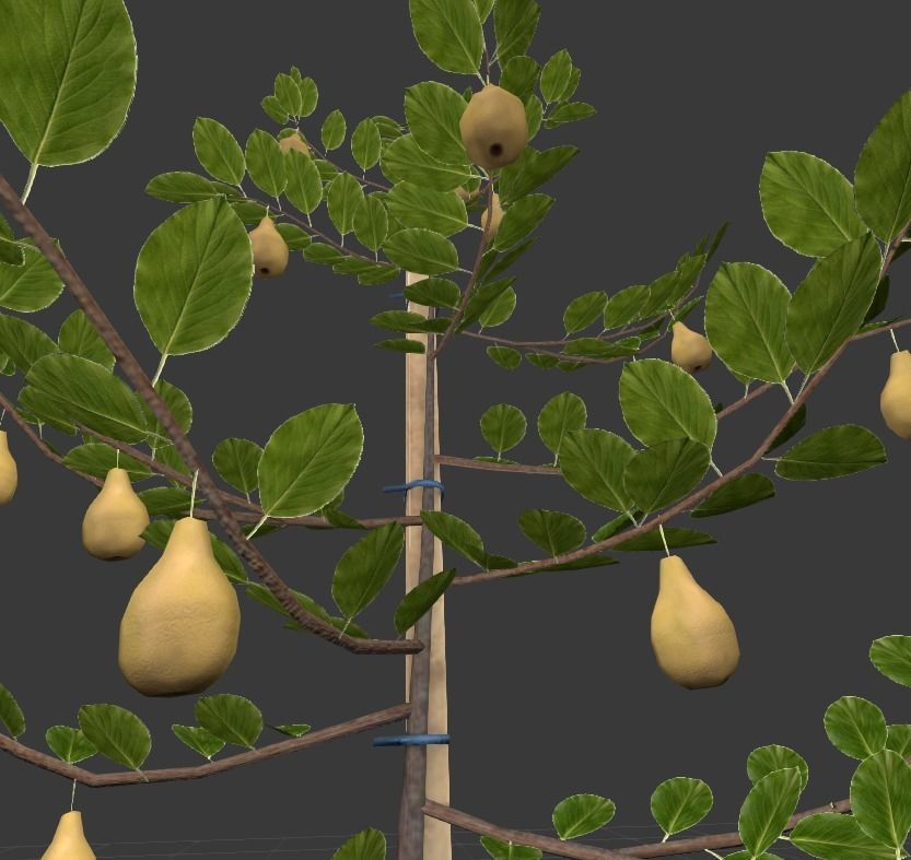 Small Pear Trees - Four Seasons Low-poly 3D model_32