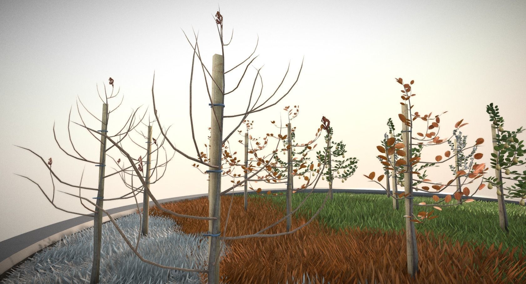 Small Pear Trees - Four Seasons Low-poly 3D model_1