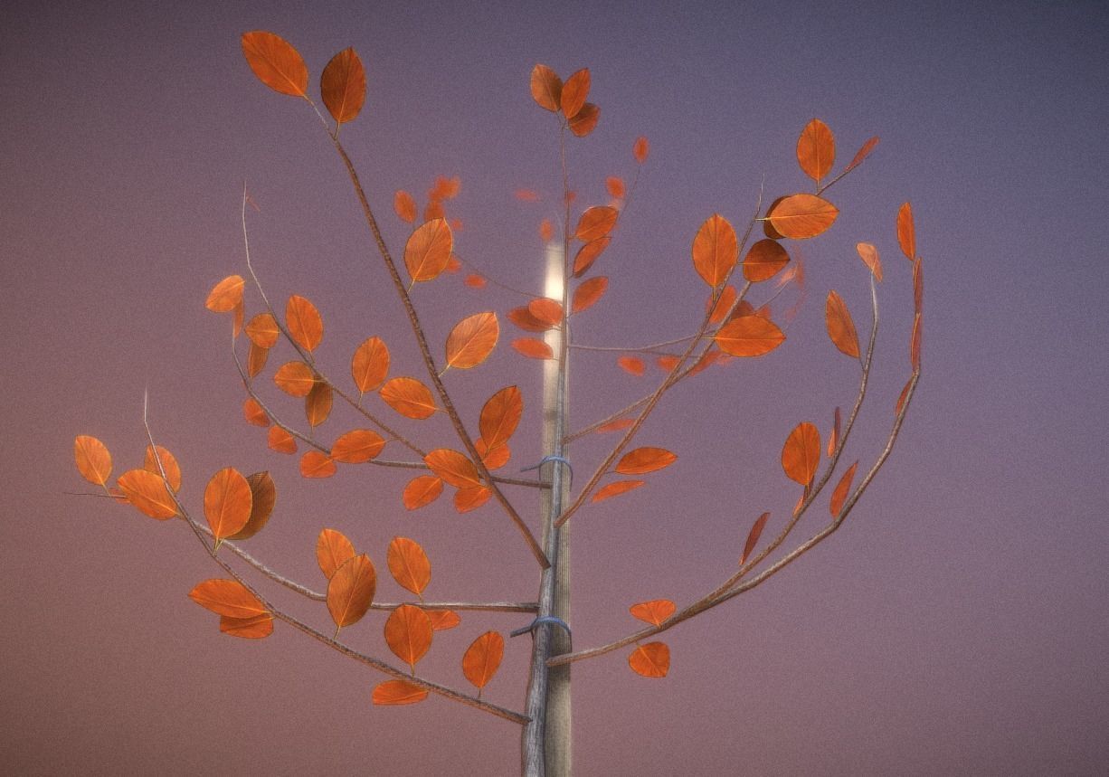 Small Pear Trees - Four Seasons Low-poly 3D model_22
