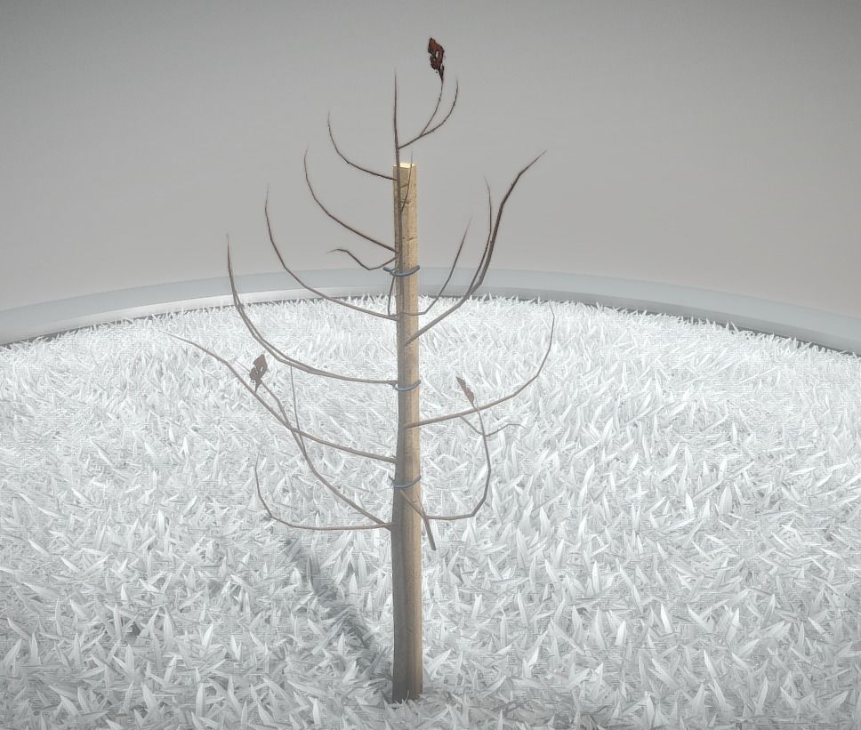 Small Pear Trees - Four Seasons Low-poly 3D model_49