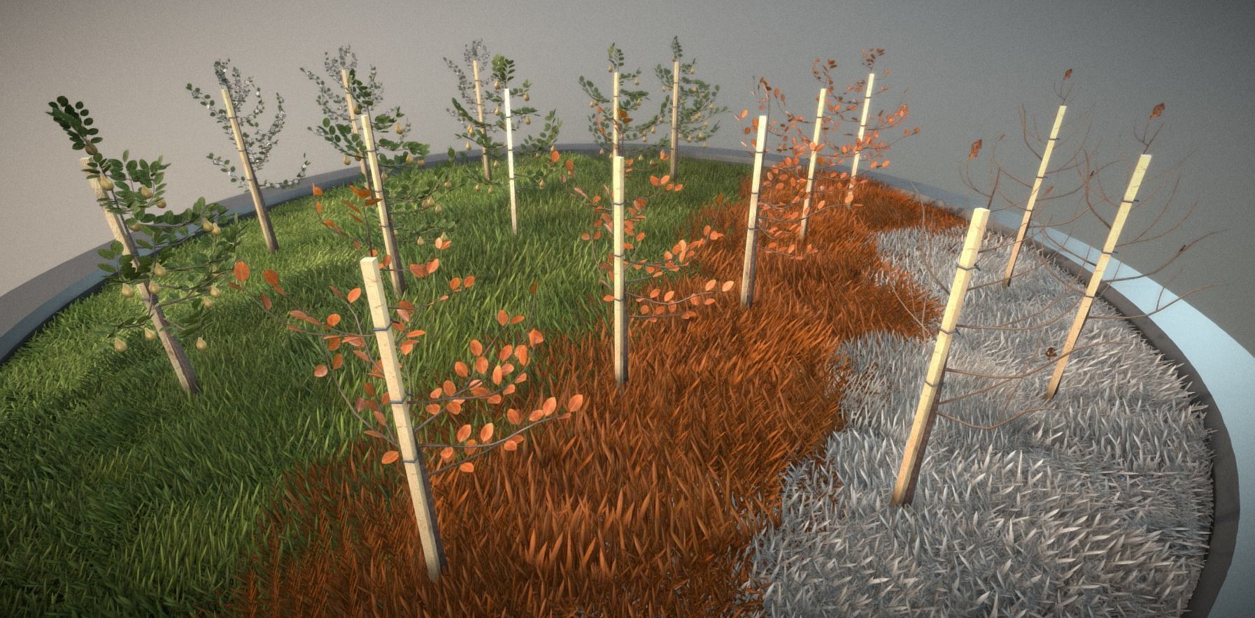 Small Pear Trees - Four Seasons Low-poly 3D model_6