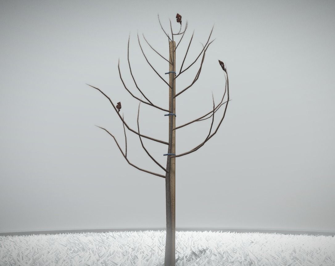 Small Pear Trees - Four Seasons Low-poly 3D model_45