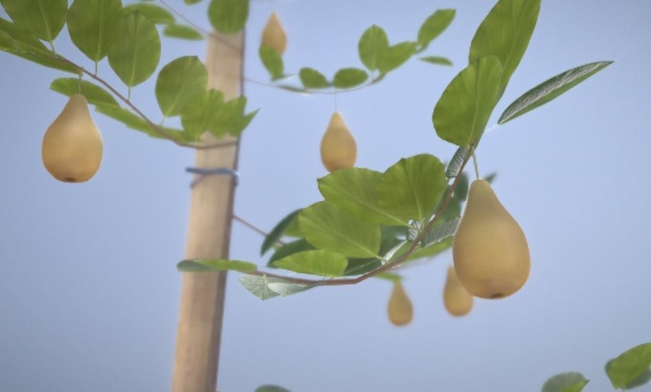 Small Pear Trees - Four Seasons Low-poly 3D model_26